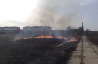 весенний пал сухой травы на пустыре у края города